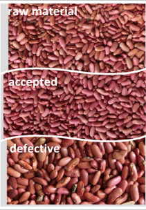 Hons Brand High Performance Bean CCD Camera Color Sorter Machine