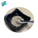 Powdered Lotus Leaf Extract Nuciferine 10% 50% 98% For Lose Weight Products