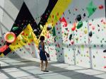 Outdoor PU Material Rock Climbing Holds For Public Playground