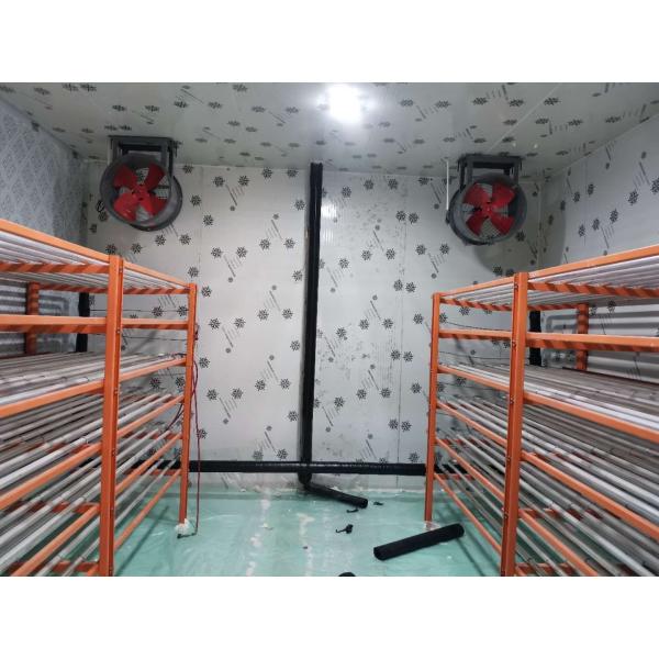 Spacious Interior Energy Efficient Freezer Room Precise Temperature Control