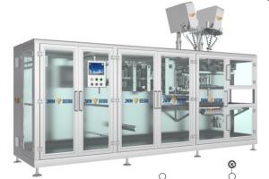 Wholesale DXD-180D Automatic Horizontal Pouch Packing Machine 5-200g Roll Film Packaging from china suppliers