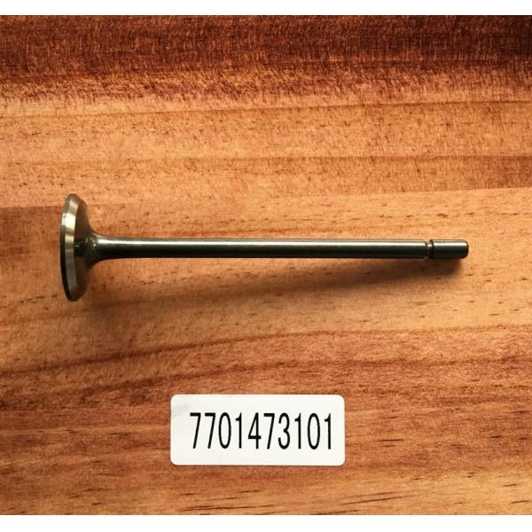 Steel Intake Valve 7701473101 / Exhaust Valve 7701474287 For Laguna 3