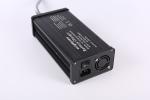 OCP OLP OVP 600W EV Battery Charger With C13 DC Plug Anderson Plug