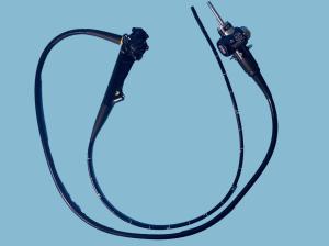 Wholesale GIF-160 High Definition Video Gastroscope In Good Condition from china suppliers