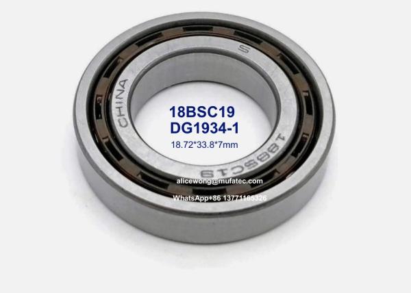 DG1934-1 DG1934 18BSC19 auto steering bearings nylon cage deep groove ball