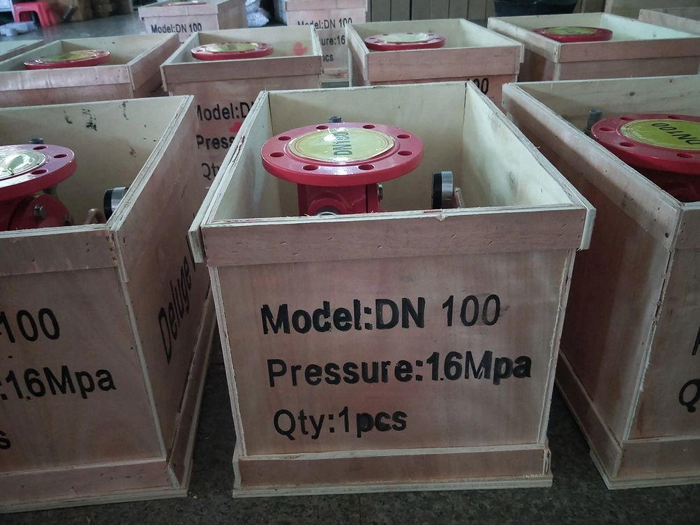 Stop Structure Flange Gate Valve Indoor Fire Hydrant Fire Fighting Equipment Customized