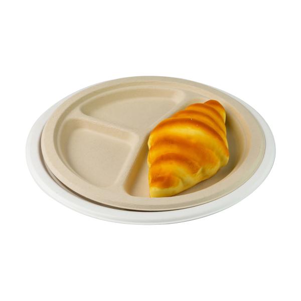Wholesale Disposable 10 Inch Compostable Biodegradable Sugarcane Bagasse Plates from china suppliers