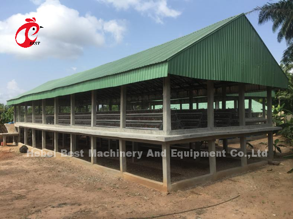 H Type Layer Battery Cage System 4 Rows Layer Poultry Farm Equipment CE Approval Sandy
