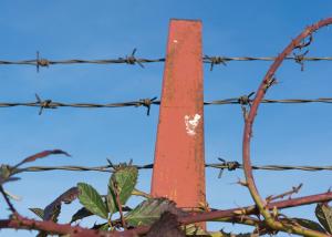 Wholesale Hot-dipped Galvanized Security Barbed Wire High-Diameter Wire for Secure Boundaries from china suppliers
