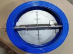 Fully Rubber Lined Wafer Check Valves With PN10 PN16 PN25