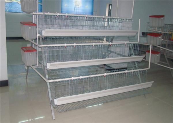 Low Carbon Steel Wire Kenya 96 Birds Layer Chicken Battery Cages For Poultry