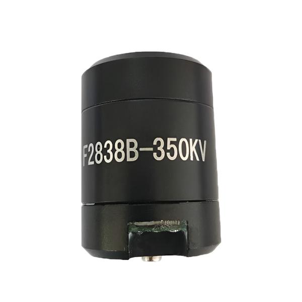 Faradyi High Quality 2838 Series IP68 DC Brushless Motor Waterproof Motor With