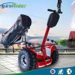 Segway Self Balance Electric Scooter Portable , Two Wheel Balance Scooter 110