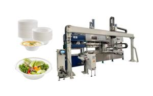 Wholesale Renewable Pulp Fiber Tableware Machine from china suppliers