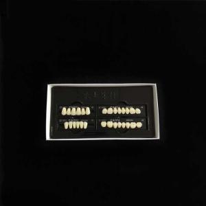 Wholesale Acrylic Synthetic Polymer Resin Teeth Two Layers Dental Composite False Teeth from china suppliers
