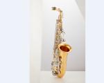 constansa brand saxophone Alto Saxophone E-flat Saxophone Professional Learning