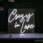 RGB PS Flex Outdoor Neon Lights 25cm Neon Light Acrylic Sign