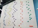 Professional GRP/PU rock climbing holds in L size for Adult Age GECKO KING