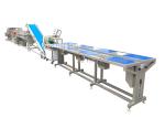 Stainless Steel Salad Production Line / Industrial Vegetable Inspecting