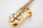 ROFFEE M600 Original Import Professional Performance Level Alto Brass Black