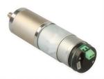 Electric Tools Motor 24V 0.6A 9-35W 3000RPM Lawn Mower Motor Go-Gold