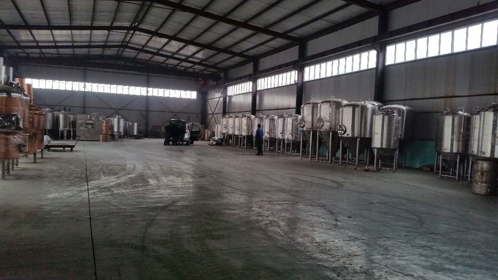 Electricity/Steam/Fire Heating Conical Fermentation Tank for Small Batch Brewing