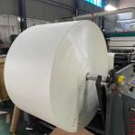 White Cardboard Jumbo Roll Paper Cup Making Raw Material 167 Gsm