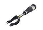 A1663202513 Front Left Right Air Suspension Shock Absorber Strut Fit Mercedes
