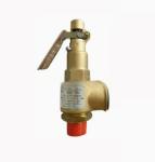 High Quality 88290019-742 OEM Safety Valve Complement Industrial Air Compressor