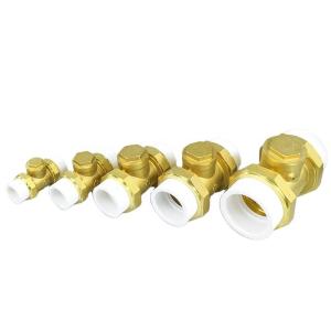 Wholesale 1/2in Female Thread Brass Horizontal Check Valve DN15 One Way Non Return Check Valve from china suppliers