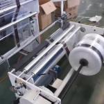One Layer HDPE LDPE Blown Film Plant Manufacturer 800mm