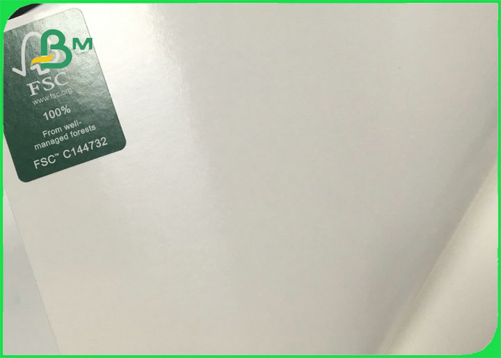 FSC 100 % Pure Wood Pulp White PE Coated Paper For Making Cup Plate 300gsm
