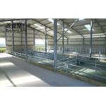 Steel Grade Prefab Livestock Building for Goat/Sheep/Cow/Cattle Cubicles and Pig