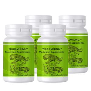 Wholesale Non-GMO United States Made Shiitake Mushroom Supplements 60 Capsules for Immune Support from china suppliers