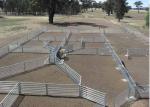 Eco Friendly Portable Cattle Fence Panels / Heavy Duty Corral Panels