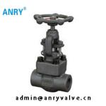 Forged Steel Gate Valve 800LBS F304 F316 SW BW NPT 2 Inch