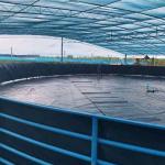 HDPE Geomembrane for Fish Pond Liner Anti Seepage Protection Length 50-200m/roll
