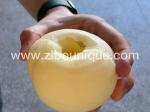 Zibounique 304 Stainless Industrial Steel Pear Peeler Perfect for Apple and