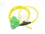 SC/APC Fiber optic 24core pre-terminated patch cable