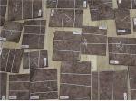0.6mm Good Quality Walnut Burl Veneer for Furniture/Cabinet usage