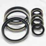 DKB Oil Seal Metal Dust Wiper Seal for High Temperature Resistance and Oil