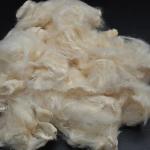 Allergen Free Soybean Protein Fiber Textile With Low Carbohydrate Content