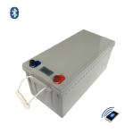 Remote Monitoring Golf Cart 12V 200A LiFePO4 Battery Pack With BMS