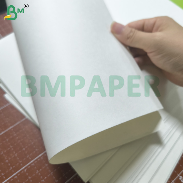 280gsm 300gsm White Bowl / Soup Container Base Paper Coating And Uncoated