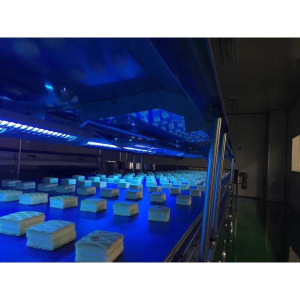 350kg/H Automated Bakery Production Line