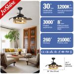 Rope Cage Hidden Blade Ceiling Fan Light With Remote Control Dc Motor