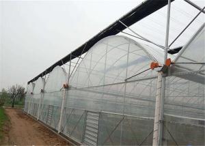 Wholesale Double Layer Plastic Film Greenhouse Comprehensive Protection Designed from china suppliers