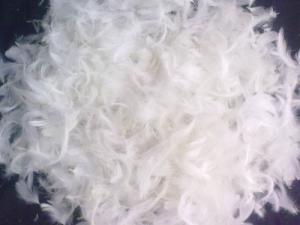 China 2cm - 4cm 100% White Duck Feather Quilt Filling Material Soft / Natural and Allergy Free on sale