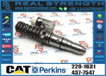 Fuel Injector 153-7923 317-5278 350-7555 250-1314 359-5469 375-4106 10R-8795 10R