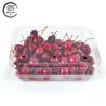 Buy cheap Clear Vegetable Clamshell Fruit Containers Disposable Plastic For Cherries 1kg from wholesalers